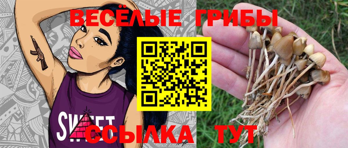 где найти   Вход с VPN  Мелеуз  Галлюциногенные грибы Magic Shrooms 