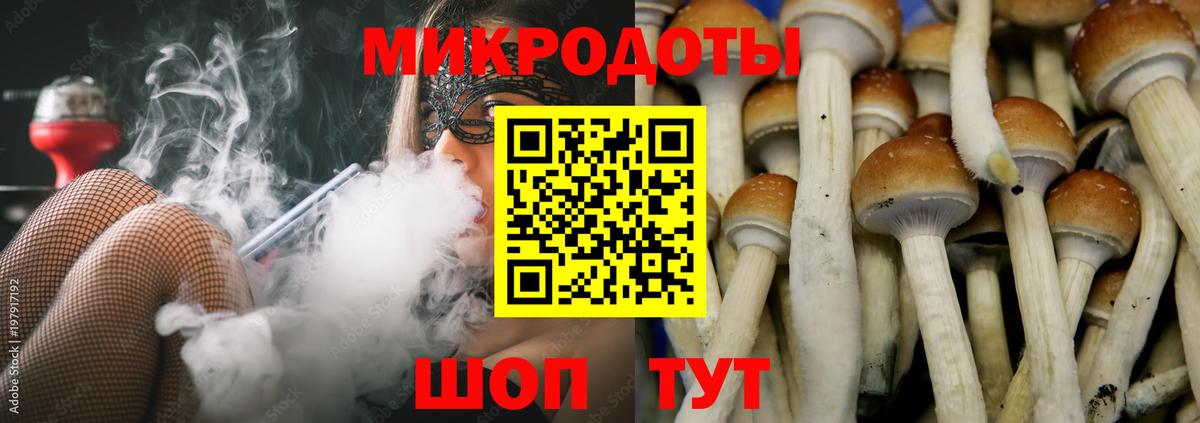 Псилоцибиновые грибы GOLDEN TEACHER Мелеуз