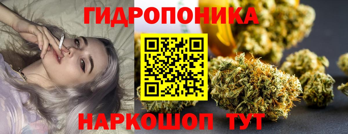 Бошки Шишки план Мелеуз